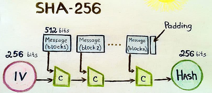 خروجی الگوریتم رمزنگاری SHA-256 یک رشته متنی 256 بیتی یا همان 64 کاراکتری است.