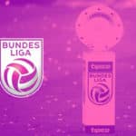 راهنمای لیگ اتریش