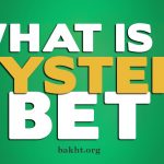 شرط بندی سیستمی