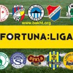 راهنمای لیگ چک