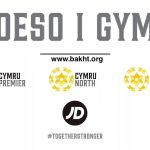 راهنمای لیگ ولز