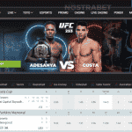 سایت شرط بندی مگاپاری