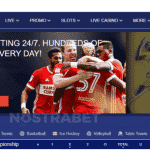 سایت شرط بندی پاریپسا