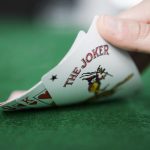 مینی پای گو