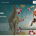 اسکول کازینو