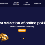 کازینوی پوکیستوگو