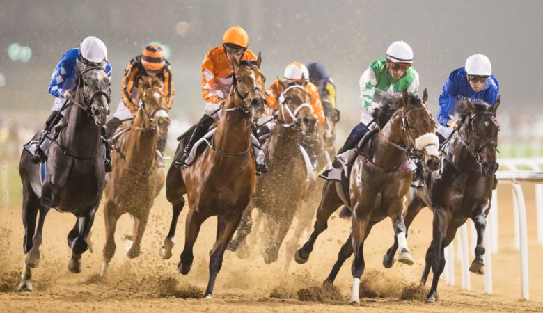 راهنمای جامع شرطبندی در مسابقات اسب‌دوانی (Horse Racing)