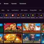 کازینو وایلد بلستر