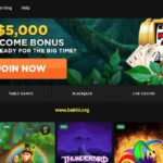 سایت شرط بندی وایلد کازینو